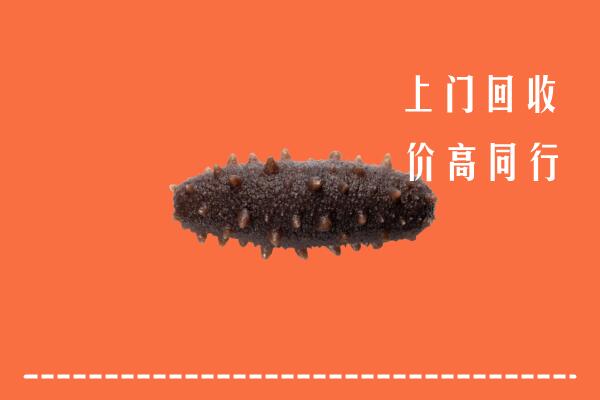 高价求购：北关区回收海参